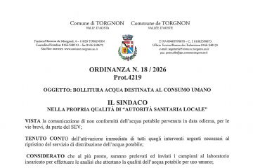 Ordinanza n. 18 del 03/08/2026